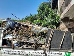 Best Estate Cleanout  in Lubeck, WV